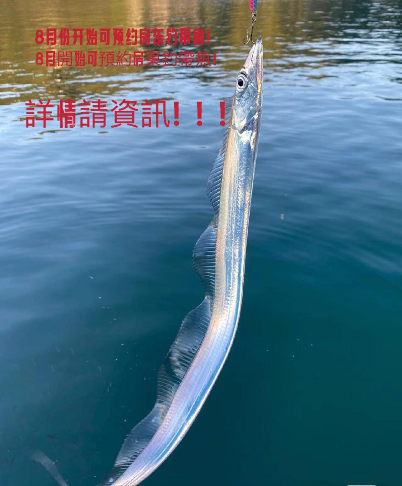 Yolostation新房开业大促/心斎橋難波日本橋電車5分 直達關西機場京都和歌山 环球影城30分钟内獨棟别墅 *